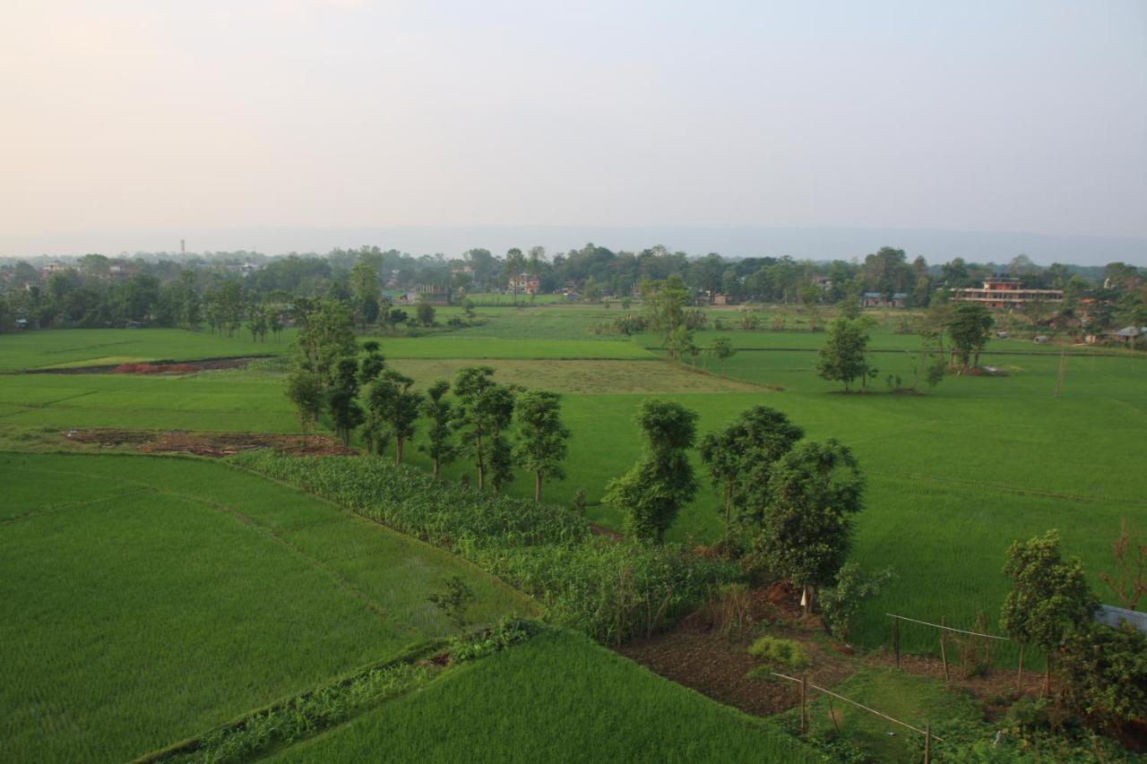 Sweet Home Chitwan Eksteriør bilde